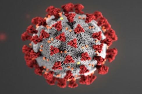Coronavirus Precautions and Information
