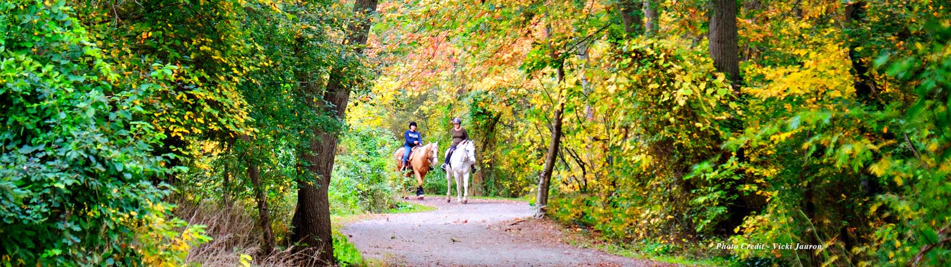 Southards Horses