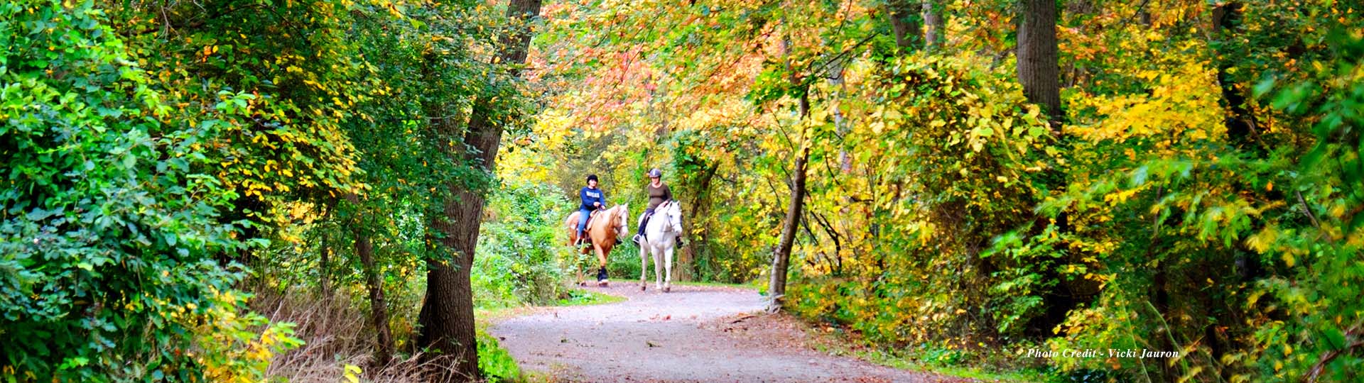 Southards Horses